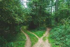 We Made a Decision That Lowers Our MRR and ARR, Here’s The Story